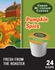 Pumpkin Spice (24ct)